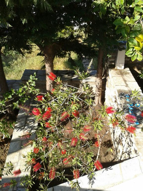 Ioanna'S Villa Panormos  Exterior photo